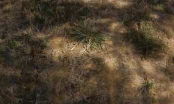 Imagem: Terreno (lote) à venda no bairro Bandeirante