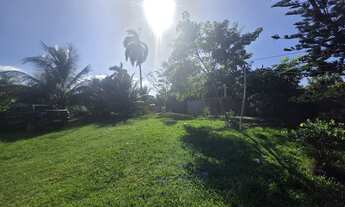 Imagem 6: Viva a tranquilidade do campo com renda garantida!