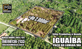 Imagem: Viva a tranquilidade do campo com renda