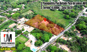 Imagem: Chácara/Sítio em Paraquatira/Pau deitado