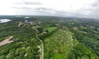 Imagem 6: Área de 66 mil m² em Pau Deitado, Paço do Lumiar, duas casas, Galpão, 2,2km da Estrada de