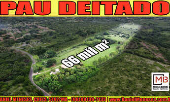 Imagem: Área de 66 mil m² em Pau Deitado, Paço