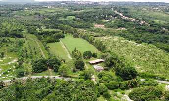 Imagem 2: Área de 66 mil m² em Pau Deitado, Paço do Lumiar, duas casas, Galpão, 2,2km da Estrada de