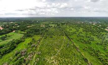 Imagem 7: Área de 66 mil m² em Pau Deitado, Paço do Lumiar, duas casas, Galpão, 2,2km da Estrada de