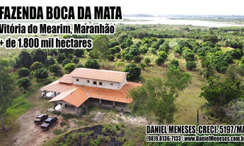 Imagem: Fazenda Boca da Mata Propriedade Rural