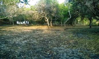 Imagem 4: Excelente Oportunidade! Venda de Dois Lotes no Bairro Bob Kennedy/Araçagy, Paço do Lumiar