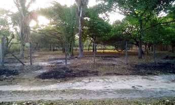 Imagem 5: Excelente Oportunidade! Venda de Dois Lotes no Bairro Bob Kennedy/Araçagy, Paço do Lumiar