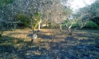 Imagem 3: Excelente Oportunidade! Venda de Dois Lotes no Bairro Bob Kennedy/Araçagy, Paço do Lumiar