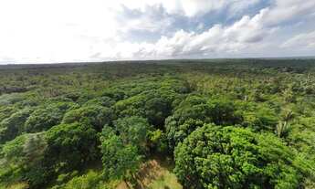 Imagem 4: ???? Grande Área à Venda no Povoado Guarapiranga – 22 Hectares ????