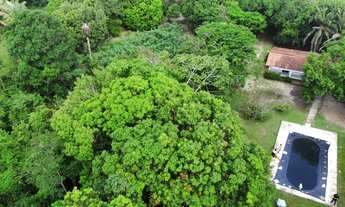 Imagem 3: ???? Grande Área à Venda no Povoado Guarapiranga – 22 Hectares ????