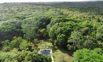 Imagem 6: ???? Grande Área à Venda no Povoado Guarapiranga – 22 Hectares ????