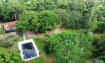 Imagem 5: ???? Grande Área à Venda no Povoado Guarapiranga – 22 Hectares ????