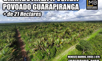 Imagem: Grande Área à Venda no Povoado Guarapiranga