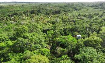 Imagem 7: ???? Grande Área à Venda no Povoado Guarapiranga – 22 Hectares ????