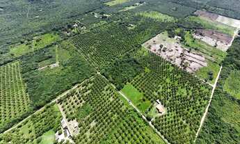 Imagem 7: Terreno de 9.000m² | Devidamente legalizado | Iguaiba, Paço do Lumiar-MA