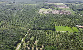 Imagem 5: Terreno de 9.000m² | Devidamente legalizado | Iguaiba, Paço do Lumiar-MA