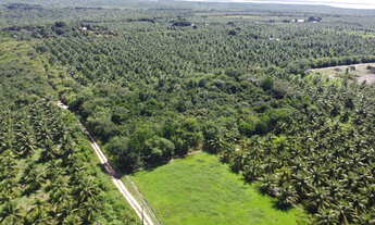 Imagem 3: Terreno de 9.000m² | Devidamente legalizado | Iguaiba, Paço do Lumiar-MA