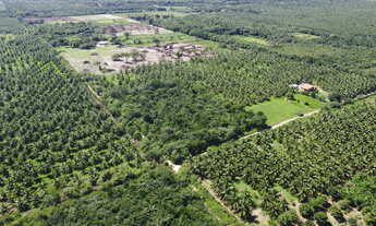 Imagem 6: Terreno de 9.000m² | Devidamente legalizado | Iguaiba, Paço do Lumiar-MA