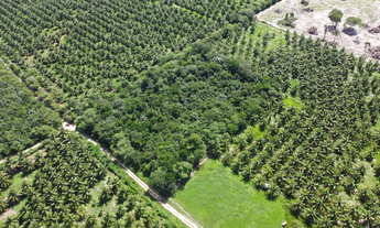 Imagem 2: Terreno de 9.000m² | Devidamente legalizado | Iguaiba, Paço do Lumiar-MA