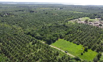 Imagem 4: Terreno de 9.000m² | Devidamente legalizado | Iguaiba, Paço do Lumiar-MA