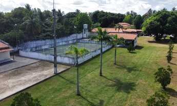 Imagem 5: ???? Sítio Excepcional à Venda em São José de Ribamar ????