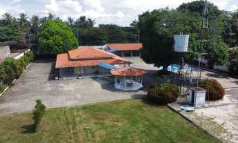 Imagem 6: ???? Sítio Excepcional à Venda em São José de Ribamar ????