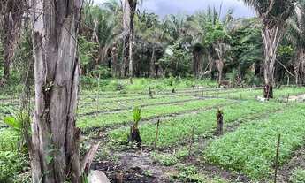 Imagem 7: Sítio à venda na Vila Pirâmide – Um refúgio de tranquilidade a poucos minutos da cidade!