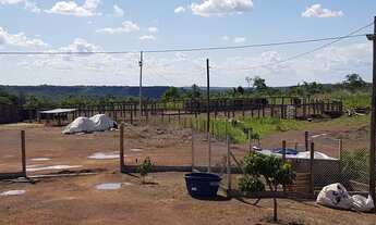 Imagem 3: Fazenda com Dupla Aptidão à Venda: A Oportunidade que Você Esperava!