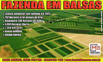 Imagem: Fazenda com Dupla Aptidão à Venda A Oportunidade