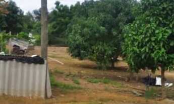 Imagem 7: Fazenda com Dupla Aptidão à Venda: A Oportunidade que Você Esperava!