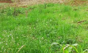 Imagem: Terreno à venda no bairro Paraíso - Chapecó/SC