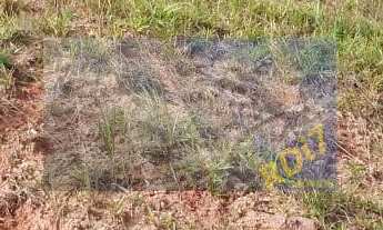 Imagem 7: Ótimo lote no Vida Bela Itapevi, SP