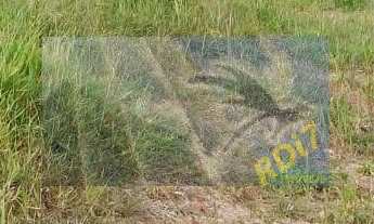 Imagem 3: Ótimo lote no Vida Bela Itapevi, SP