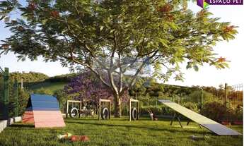 Imagem 5: LANÇAMENTO DE LOTES EM COTIA