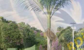 Imagem: Terreno em Loteamento, Itapevi, SP