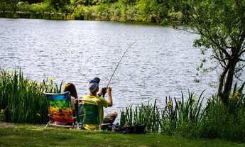 Imagem 7: Um lugar no Paraíso - sítios de 2 hectáres com uma mega infraestrutura por R$189.000,00