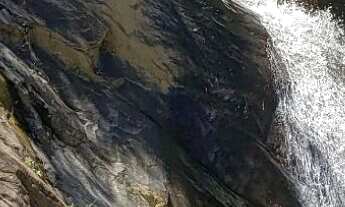 Imagem 2: Um lugar no Paraíso - sítios de 2 hectáres com uma mega infraestrutura por R$189.000,00