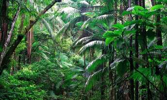 Imagem 6: Um lugar no Paraíso - sítios de 2 hectáres com uma mega infraestrutura por R$189.000,00