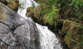 Imagem: Um lugar no Paraíso - sítios de 2 hectáres