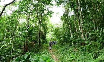 Imagem 5: Um lugar no Paraíso - sítios de 2 hectáres com uma mega infraestrutura por R$189.000,00