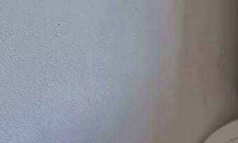 Imagem 6: Casa no bairro terras altas