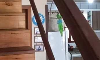 Imagem 3: Golden House - Sobrado 2 Dormitórios, com 2 Vagas de Garagem Cobertas - Golden House - Tar