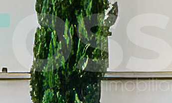 Imagem: Excelente imóvel no centro de Rio Preto