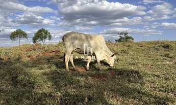 Imagem: Chácaras em Rio Manso com 100m², agua