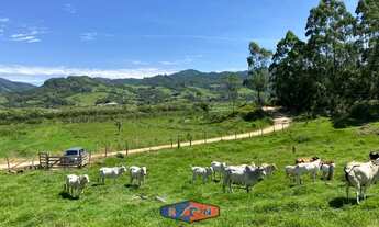 Imagem 3: SÍTIO COM VISTA PARA O MAR E LAGOA 300.000 m2