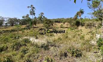Imagem 2: Vendo Fazenda em Caete 30 hectares com muita agua e nascentes