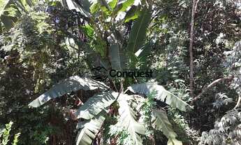 Imagem 2: Casa à venda no bairro Solar das Palmeiras - Esmeraldas/MG