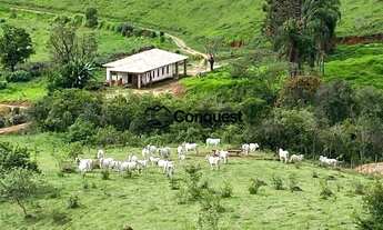 Imagem: Vendo - Fazenda 58 hectares Entre Rios de