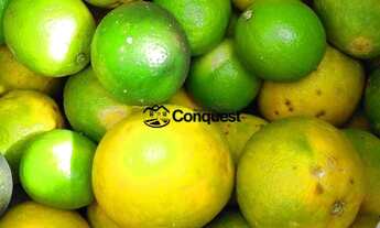 Imagem 7: Terreno em Centro, Pitangui/MG