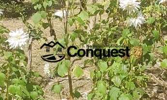 Imagem 5: Vendo Linda e Charmosa Chácara com acabamento de alto padrão, 05 quartos sendo 3 suítes, P